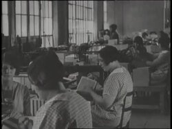 A montage shows women assembling boxes and folding shirts in a factory. News Clip