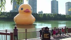 CLEAN : Giant rubber duck arrives in Seoul News Clip