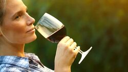 Wine tasting. Stock Footage