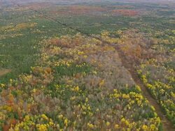 WS ARIEAL View of Wooded area with autumn color at islands with meandering river / Maine, United States Stock Footage