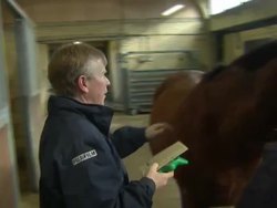 Findus Food Products Test Negative for Bute News Clip