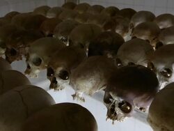 Rwanda Commemorates 20th Anniversary Of Genocide Stock Footage
