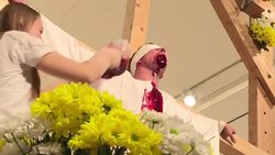 CLEAN : FILE: Austrian artist angers activists with dead animal show News Clip