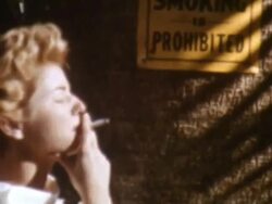Smoking Prohibited Stock Footage