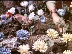 The annual Chelsea Flower Show is in full-bloom. Before touring the show, we visit the orchards of Kent, along the News Clip