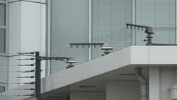 CLEAN : Gbagbos supporters rally News Clip