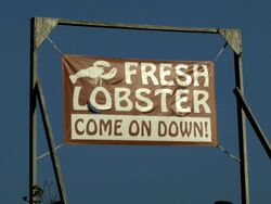 Fresh Lobster! Come on Down - sign/banner against deep blue sky Stock Footage