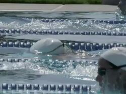 MS Side POV SLO MO Shot of Swimmers in lanes swimming breast stroke / Davis, California, United States  Stock Footage