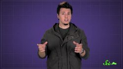 Why Is The Sound Of Chewing So Awful? Instructional Video