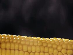 Hot Corn Stock Footage