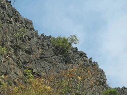 MS View of rocky edge of mountain with scattered plants  /  Vang Vieng, Vientiane, Laos Stock Footage