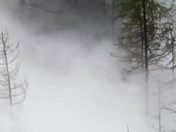 HD Flood Waves Destroying Forest (Loopable) Stock Footage