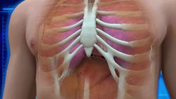 Ventricular assist system keeps failing hearts beating Instructional Video