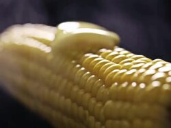Hot Corn Stock Footage