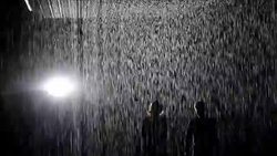 CLEAN : Art exhibition lets Londoners News Clip