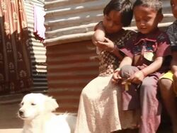Group of Cheerful Rural Indian Children Stock Footage