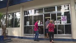 CLEAN : Dozens of monkeys killed amid yellow fever panic in Brazil News Clip