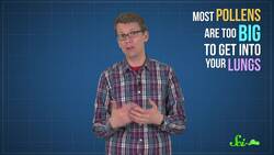 How a Storm Triggered a City-Wide Asthma Attack Instructional Video