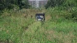 Cross-country vehicle in the bushes Stock Footage
