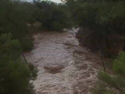 Flash flood looking down desert arroyo, Sonoran Desert, Arizona, USA Stock Footage