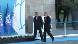 CLEAN : G20 Xi Putin Obama arrive for summit News Clip