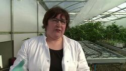 VOICED : Los guardianes del cacao en la fria Inglaterra News Clip