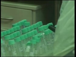 Experts watch swine flu in order to see how it evolves in southern winter News Clip