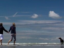 Man, woman and dog walking on beach (HD 1080) Stock Footage