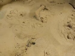 Bubbling Springs Stock Footage