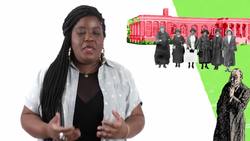 How did Makeup, WWII, & Communism Create U.S. Healthcare? Instructional Video