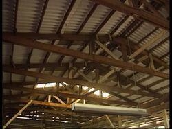 Philippines - Popularity of cock fighting News Clip