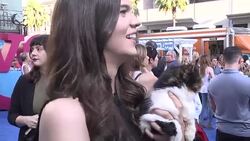 CLEAN : Cats grace red carpet at Nine Lives film premiere News Clip