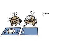 Why do Some Species Thrive in Cities? Instructional Video