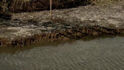 Engineers work with a crane along a contaminated shoreline. Stock Footage