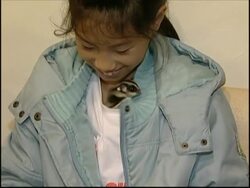 A new pet craze sweeps Taiwan ahead of Chinese New Year Instructional Video