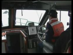 Ecologists release 'Uchi', a sea lion injured by falling rocks Instructional Video