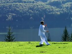 HD: Tai Chi Outdoors Stock Footage