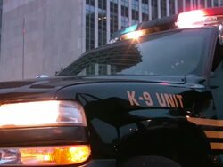 Police Car Lights Flashing at Night. K-9 Unit. Stock Footage