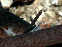 slow motion fire Stock Footage