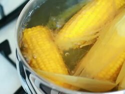 Fresh and juicy corn cobs boiling in pot Stock Footage