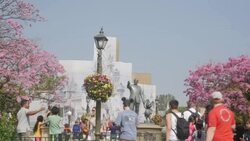 Disneyland Park at Anaheim, CA Stock Footage