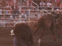 Cowboy races out the gate and brings down a steer by the horns at a rodeo - shot in slow motion. Stock Footage