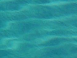 Ripples in the Pool Stock Footage