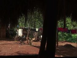 Martin Home & Yard Pan Stock Footage