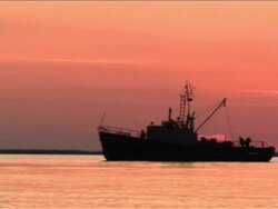 FISHING BOAT (DV) Stock Footage