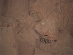 MS fallen Terracotta Warrior, Museum of Qin, Xian, China Stock Footage