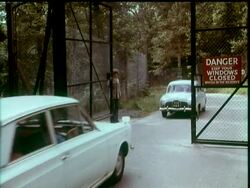 LONGLEAT LIONS News Clip