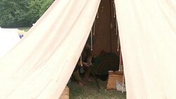 CLEAN : Armies of enthusiasts mark Battle of Hastings 950th anniversary News Clip