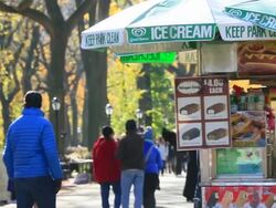 PAN Camera captures the people and a musician at The Mall which are surrounded by autumn color trees at Central Park. Stock Footage