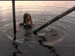 A team of specialized divers help maintain canals in South Florida, encountering alligators, manatees and snakes in the murky waters. Instructional Video